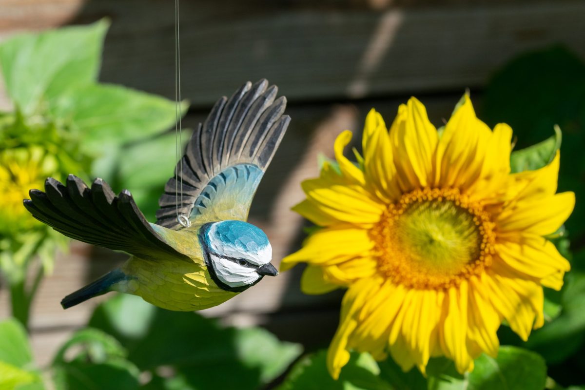 Wildlife Garden DecoBird - flyvende blåmejse