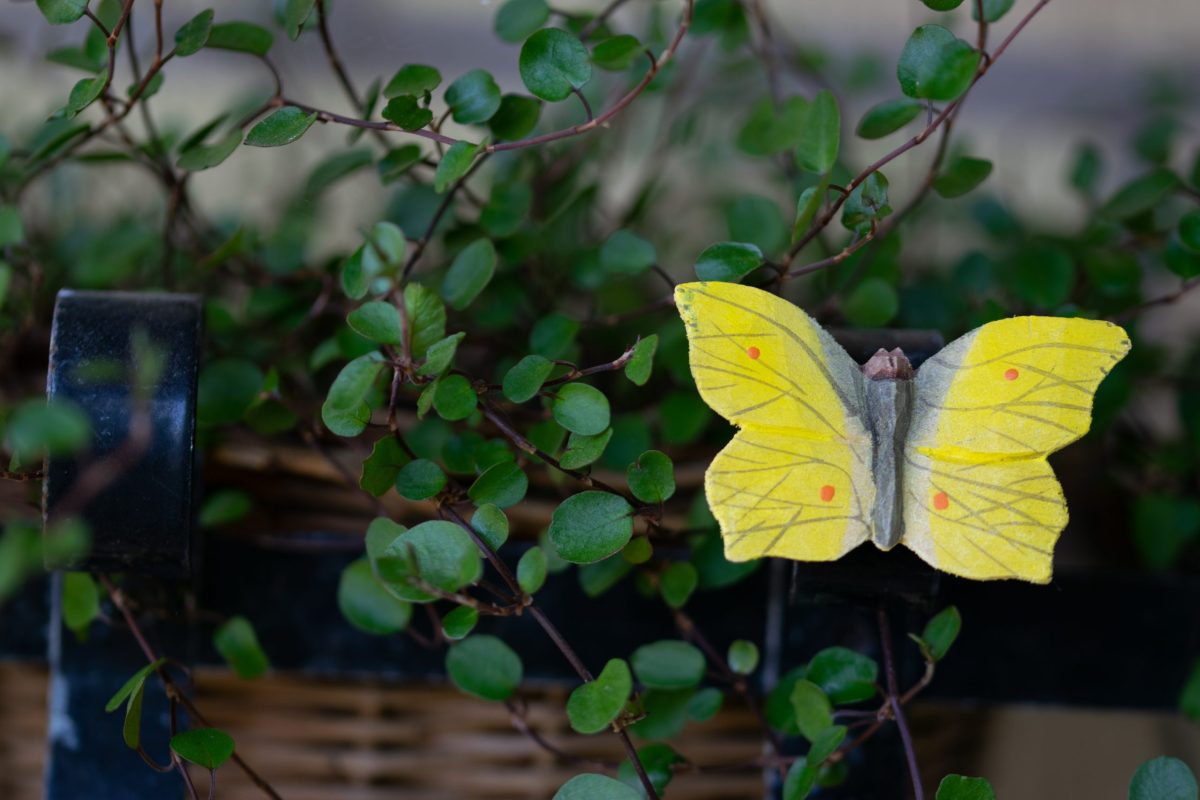 Wildlife Garden decomagnet - citronsommerfugl